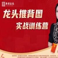 刘琦龙头推背图龙头掘金03期小班课