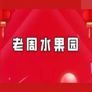 【老周水果园】复利周师兄短线周期主升 圈内教学文档