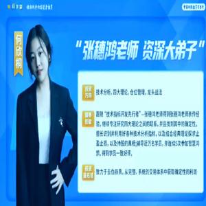 财学堂张穗鸿 龙虎跃精修鸿雁专修交易系统助教辅导课合集