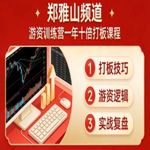 【郑雅山频道】游资训练营一年十倍打板课程 29文档