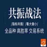 飞龙交易进阶课：共振战法