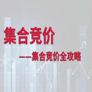 李孟彦集合竞价全攻略 2文档