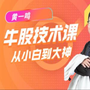 黄一鸣《牛股技术》实操课 15节