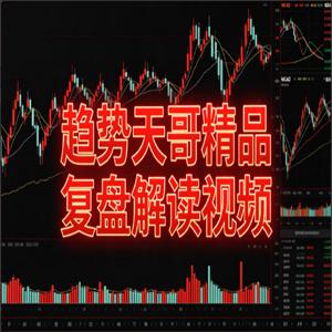 趋势天哥精品复盘解读视频