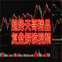 趋势天哥精品复盘解读视频