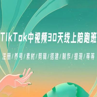 TikTok 中视频 30 天线上陪跑班：注册/养号/素材/剪辑/搭建/制作/提现/等等