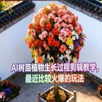 AI树苗植物生长过程剪辑教学，最近比较火爆的玩法