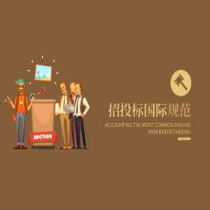 招投标国际规范, 招投标国际规范