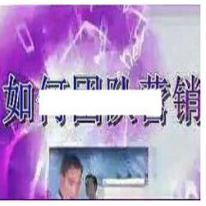 杜云生全集-杜云生《如何团队营销》团队管理