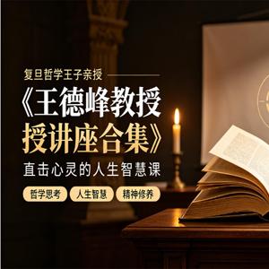 《王德峰教授讲座合集》｜复旦哲学王子亲授｜直击心灵的人生智慧课