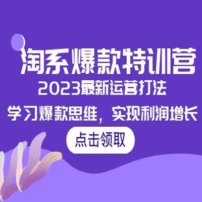 2023淘系爆款特训营，2023最新运营打法，学习爆款思维，实现利润增长