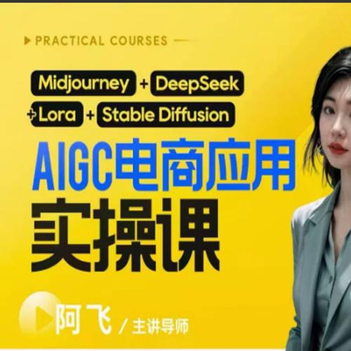 阿飞AIgc电商应用实操课(加更DeepSeek)保姆级喂饭教程，从0-1用AI做电商