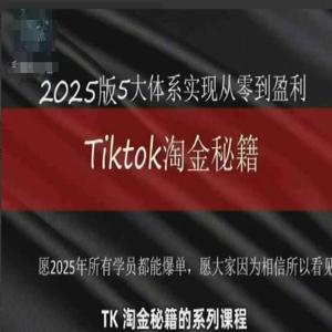 TikTok跨境2025淘金秘籍，2025TikTok从0到盈利变现