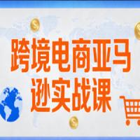 丝丝老师·跨境电商亚马逊实战课（更新2026）