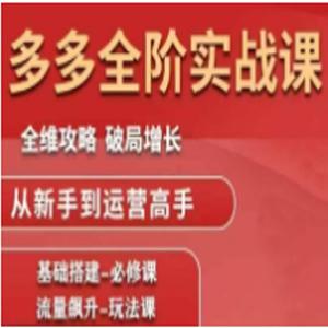 大炮·拼多多全阶实战课程（更新2026）