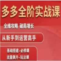 大炮·拼多多全阶实战课程（更新2026）