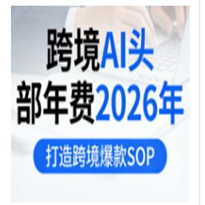 跨境AI头部年费2026年，打造跨境爆款SOP