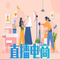 老九直播电商千川全域抖音全域投放线上课
