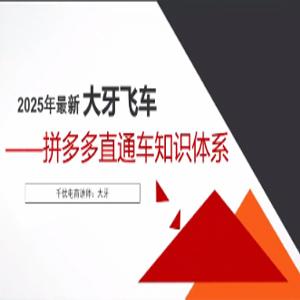 拼多多付费推广爆单知识体系，直通车知识体系