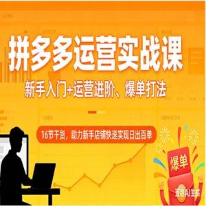 拼多多运营实战课：新手入门+运营进阶、爆单打法，16 节干货，助力新手店铺快速实现日出百单