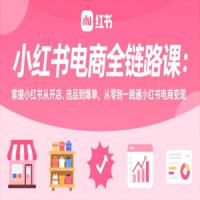 小红书电商全链路课：掌握小红书从开店、选品到爆单，从零到一跑通小红书电商变现