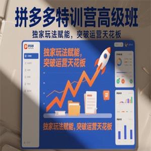 拼多多特训营高阶班，独家玩法赋能，突破运营天花板（更新26年2月）