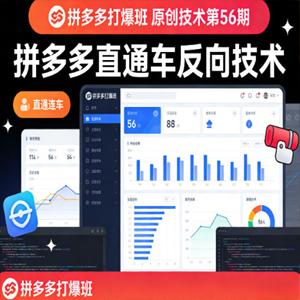 叮当会《拼多多打爆班》原创技术第56期，拼多多直通车反向技术