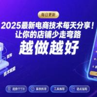 2025新电商技术每天分享，让你的店铺少走弯路，越做越好(更新)