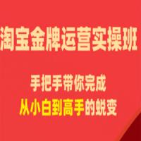 飓风电商·淘宝金牌运营实操班