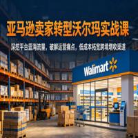 亚马逊卖家转型沃尔玛实战课，深挖平台蓝海流量，破解运营痛点，低成本拓宽跨境增收渠道