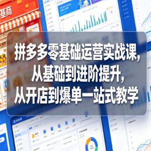 拼多多零基础运营实战课，从基础到进阶提升，从开店到爆单一站式教学