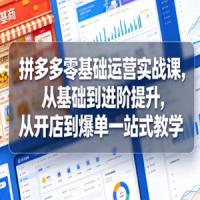 拼多多零基础运营实战课，从基础到进阶提升，从开店到爆单一站式教学