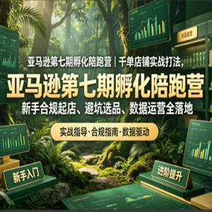 亚马逊第七期孵化陪跑营｜千单店铺实战打法，新手合规起店、避坑选品、数据运营全落地（更新）
