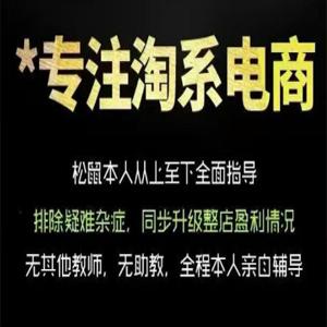 松鼠会电商VIP课程，从基础布局到高阶优化，助你掌握淘宝运营逻辑，提升店铺流量与转化（更新0711）