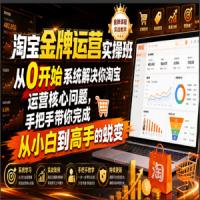 淘宝金牌运营实操班，从0开始系统解决你淘宝运营核心问题，手把手带你完成从小白到高手的蜕变（2026年7月）