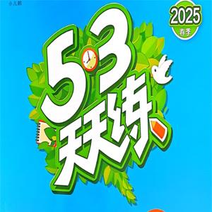 25春53天天练人教数学2下试题卷
