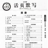 王朝霞少而精语文部编版活页默写六年级下册.PDF