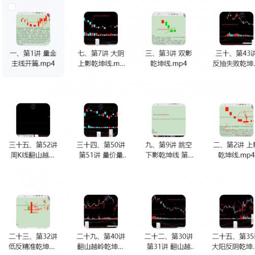 【骆驼子涵】股市量学系统课程