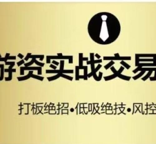 【游资枪锋】游资枪锋实战系列-打板绝招低吸绝技风控系统