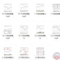 【杭州炒家】2025.1-2月杭州炒家波段锦鲤专栏教学