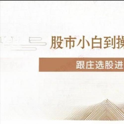 【投机大拿】跟庄选股进阶课
