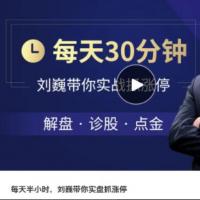 【刘巍】每天半小时，刘巍带你实盘抓涨停