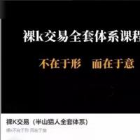 【半山猎人】裸K不在于形而在于意 视频课