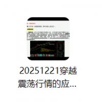 【老樊研究院】穿越震荡行情的应对策略20251221（视频+PDF）
