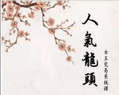 【短线女王】人气龙头基础视频课程