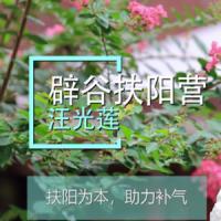 中医扶阳第六代传人汪光莲《21天辟谷扶阳周末营》