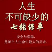 人生的7张保单 给新中产们的保险规划课