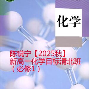 陈锐宁【2025秋】新 高一化学 目标清北班（必修1）