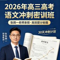 2026年高三高考语文 张炯一 冲刺密训班