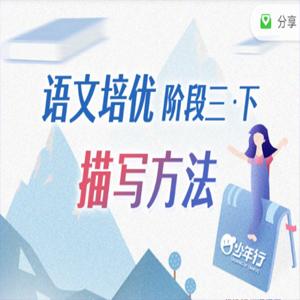 平哥系列《平哥语文培优作文课描写方法(阶段三)》
